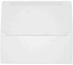 1912 - #9 (3 7/8 x 8 7/8) - 24lb Western Sulphite SFI Collection / Remittance - 2000 per carton