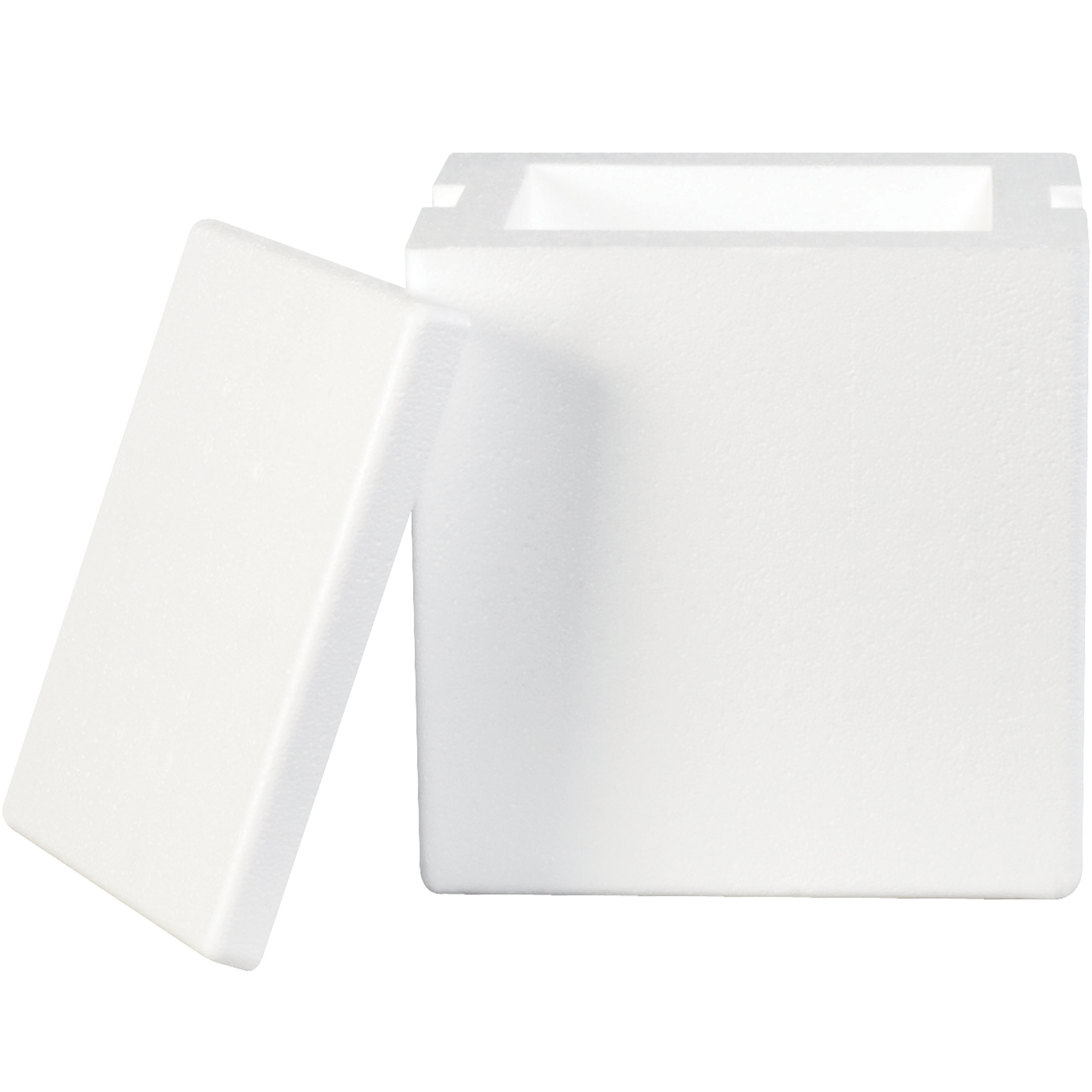 8 x 6 x 9" Insulated Foam Containers