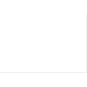 4 x 6" - White Block Out Labels