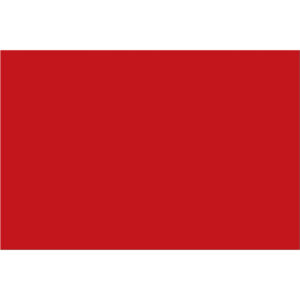 2 x 3" Red Inventory Rectangle Labels