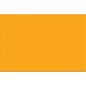 4 x 6" Fluorescent Orange Inventory Rectangle Labels