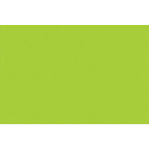 4 x 6" Fluorescent Green Inventory Rectangle Labels