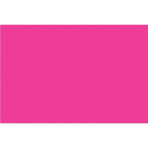 4 x 6" Fluorescent Pink Inventory Rectangle Labels