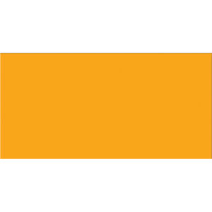 2 x 4" Fluorescent Orange Inventory Rectangle Labels