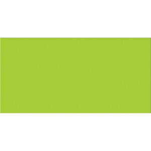 2 x 4" Fluorescent Green Inventory Rectangle Labels