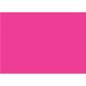 5 x 7" Fluorescent Pink Inventory Rectangle Labels